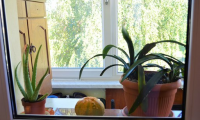 Apartament|Garsoniera de vanzare - Brasov, Brasov
