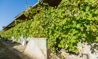 Vila|Casa de vanzare - Brasov, Brasov