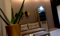 Apartament|Garsoniera de inchiriat - Brasov, Brasov