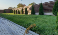 Vila|Casa de inchiriat - Brasov, Brasov
