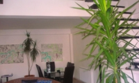 Vila|Casa de inchiriat - Ploiesti, Prahova