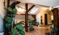 Apartament|Garsoniera de vanzare - Brasov, Brasov