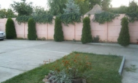Apartament|Garsoniera de vanzare - Satu Mare, Satu Mare