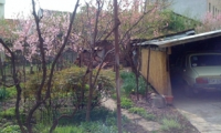 Vila|Casa de vanzare - Satu Mare, Satu Mare