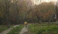 Teren de vanzare - Satu Mare, Satu Mare