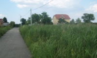 Teren de vanzare - Satu Mare, Satu Mare