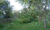 Teren de vanzare - Satu Mare, Satu Mare