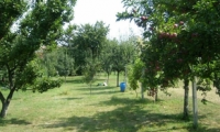 Teren de vanzare - Satu Mare, Satu Mare