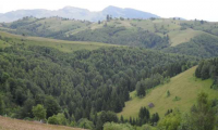 Teren de vanzare - Bran, Brasov