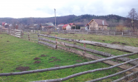Teren de vanzare - Codlea, Brasov