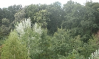 Teren de vanzare - Pitesti, Arges