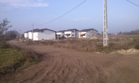 Teren de vanzare - Berceni, Ilfov