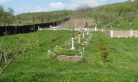 Vila|Casa de vanzare - Popesti, Valcea