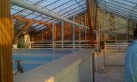 Vila|Casa de vanzare - Sector 1, Bucuresti