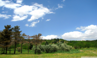 Teren de vanzare - Bolintin-vale, Giurgiu