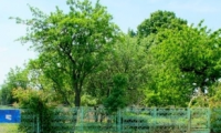 Teren de vanzare - Snagov, Ilfov