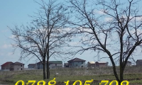 Teren de vanzare - Berceni, Ilfov